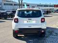 Jeep Renegade 1.0 T3 120cv Limited Bianco - thumbnail 4