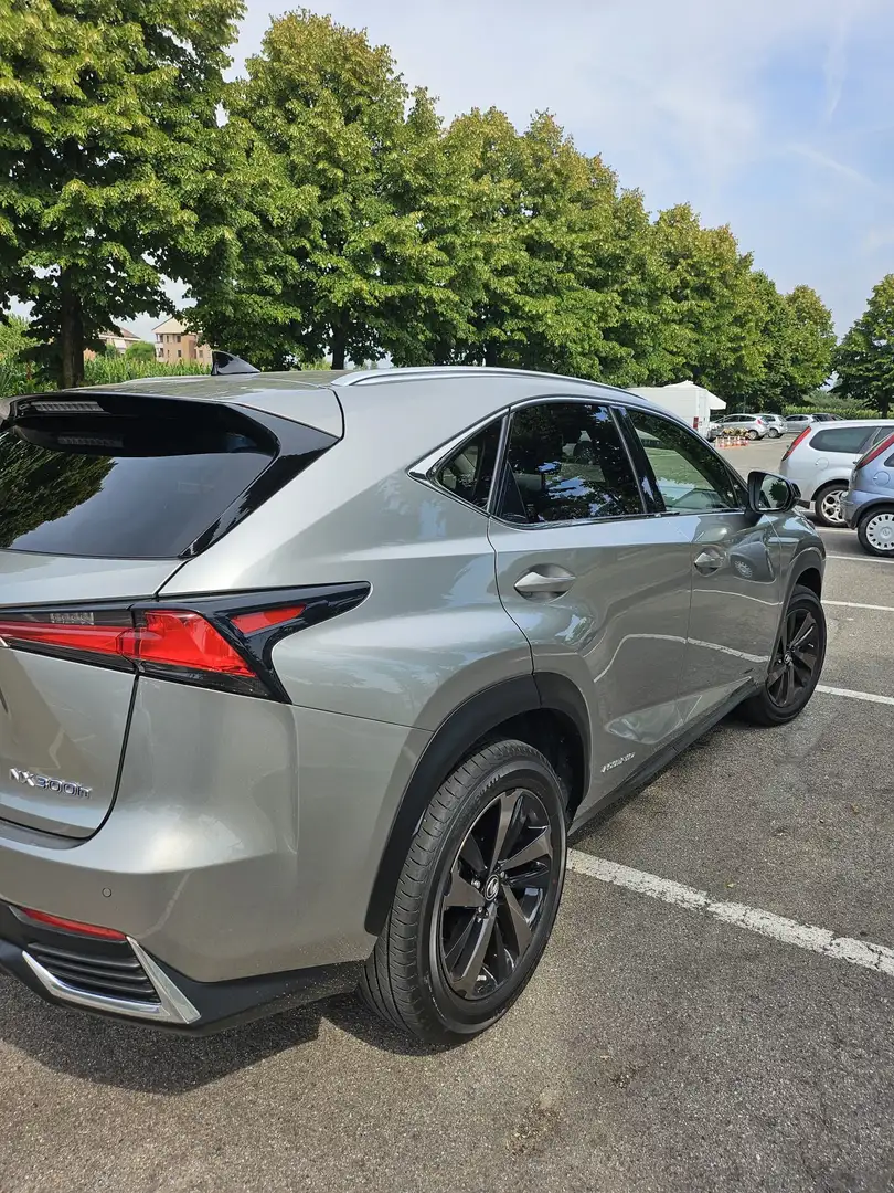 Lexus NX 300h 4wd Premium Argento - 2