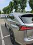 Lexus NX 300h 4wd Premium Argento - thumbnail 3