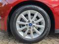 Ford Grand C-Max 1.5 Titanium CarPlay Navi Kamera SHZ Rosso - thumbnail 14