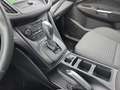 Ford Grand C-Max 1.5 Titanium CarPlay Navi Kamera SHZ Rot - thumbnail 23