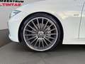 BMW 335 i*SPORT-LINE*AUTOM*ESHD*NAVI*XEN*PDC*LEDER* Blanc - thumbnail 20
