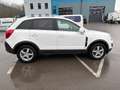 Opel Antara Antara 2,2 CDTI Cosmo Start/Stop System Cosmo Weiß - thumbnail 6