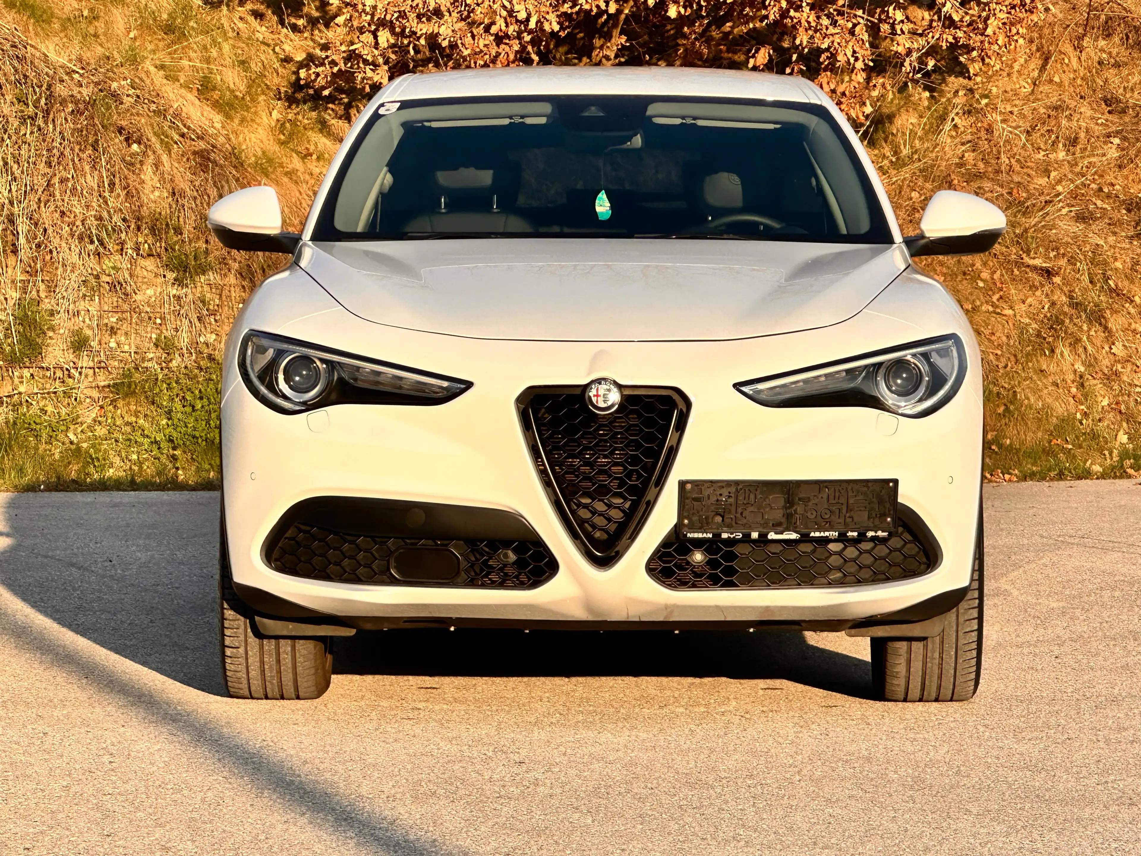Alfa Romeo Stelvio 2.2 JTDM Super Q4 / AHK 2.3t / Diesel / Leder — photo 7