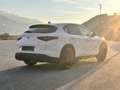 Alfa Romeo Stelvio 2.2 JTDM Super Q4 / AHK 2.3t / Diesel / Leder Weiß - thumbnail 12
