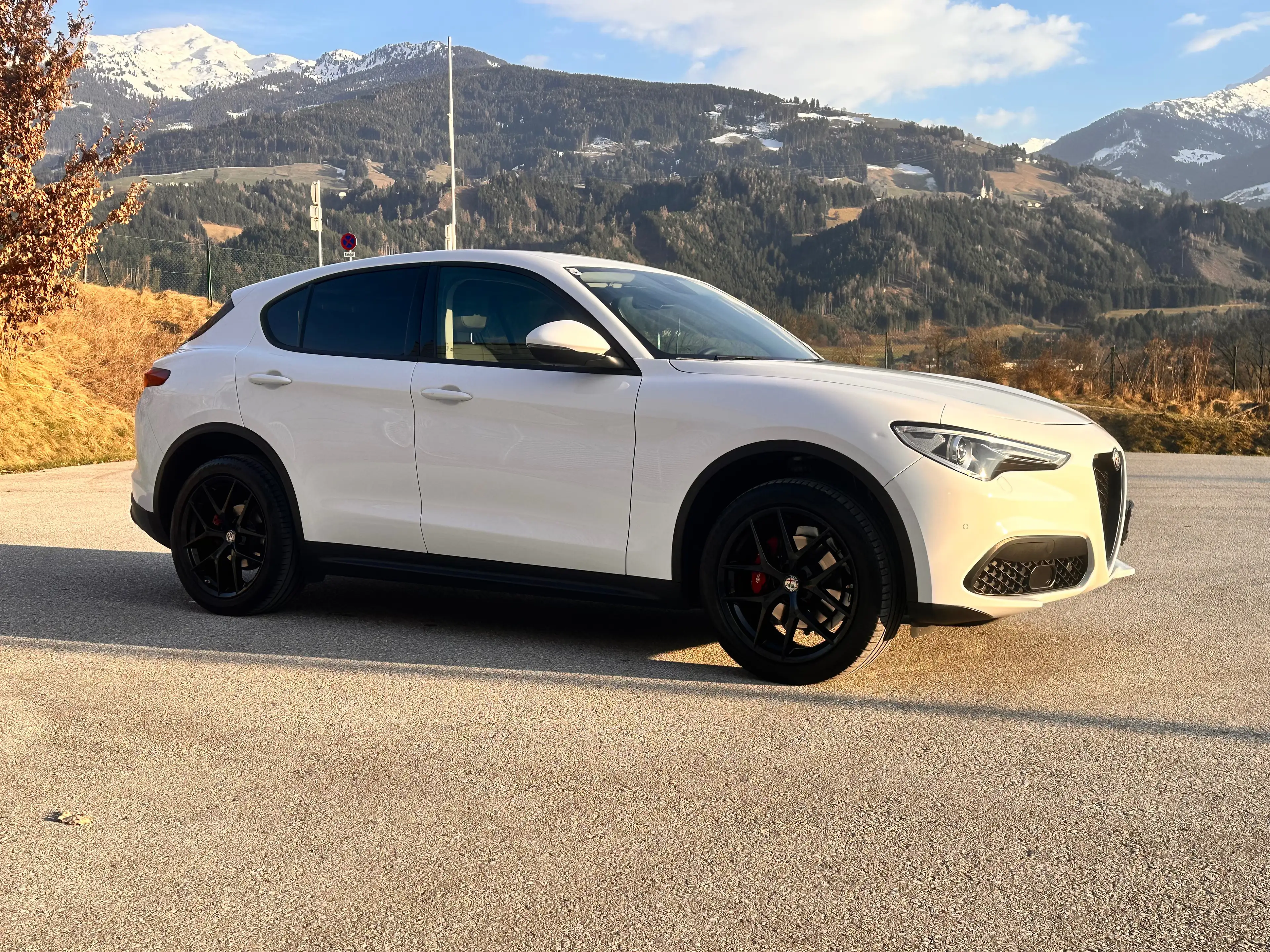Alfa Romeo Stelvio 2.2 JTDM Super Q4 / AHK 2.3t / Diesel / Leder — photo 10