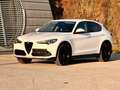 Alfa Romeo Stelvio 2.2 JTDM Super Q4 / AHK 2.3t / Diesel / Leder Weiß - thumbnail 3