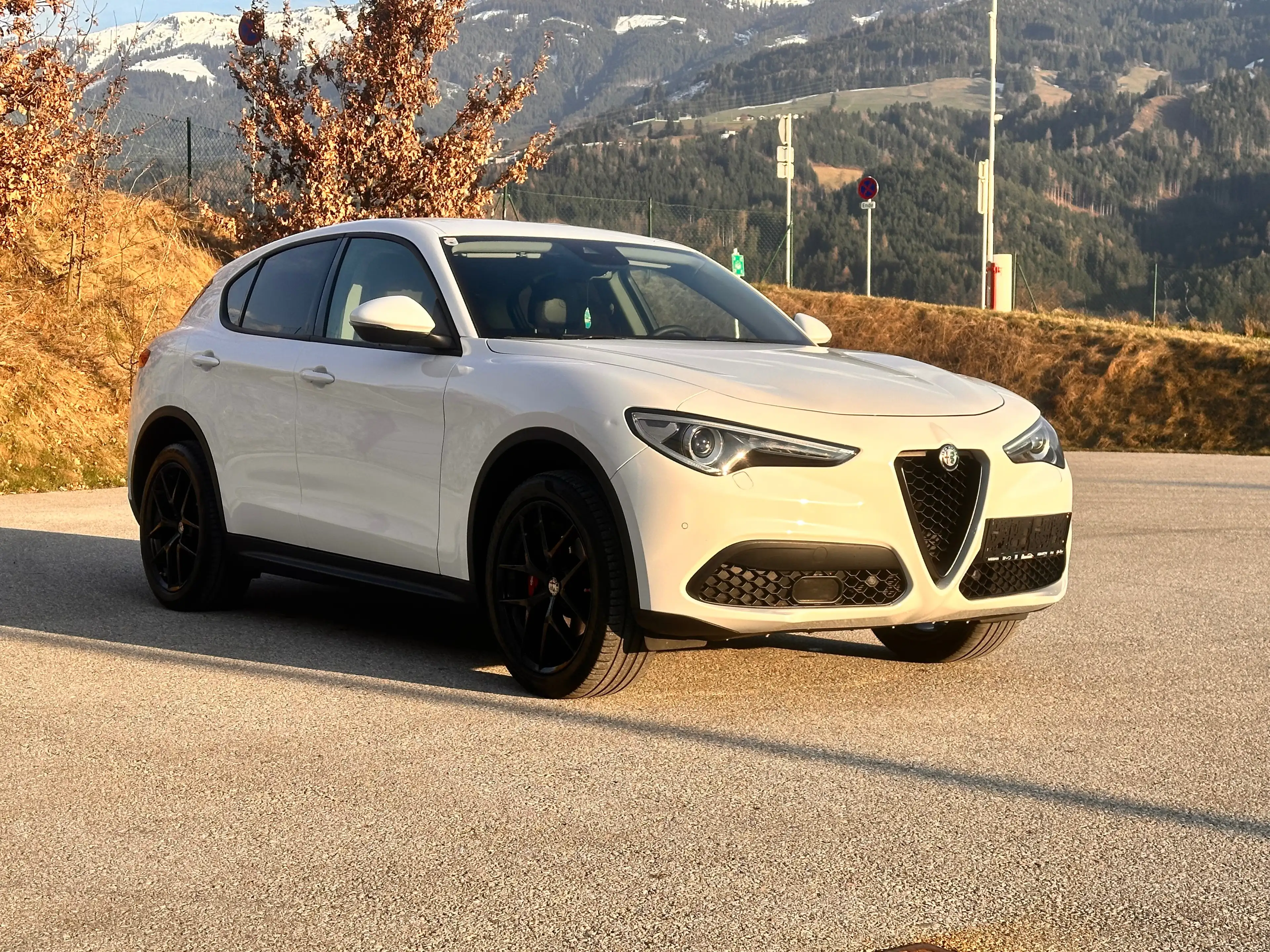 Alfa Romeo Stelvio 2.2 JTDM Super Q4 / AHK 2.3t / Diesel / Leder — photo 9