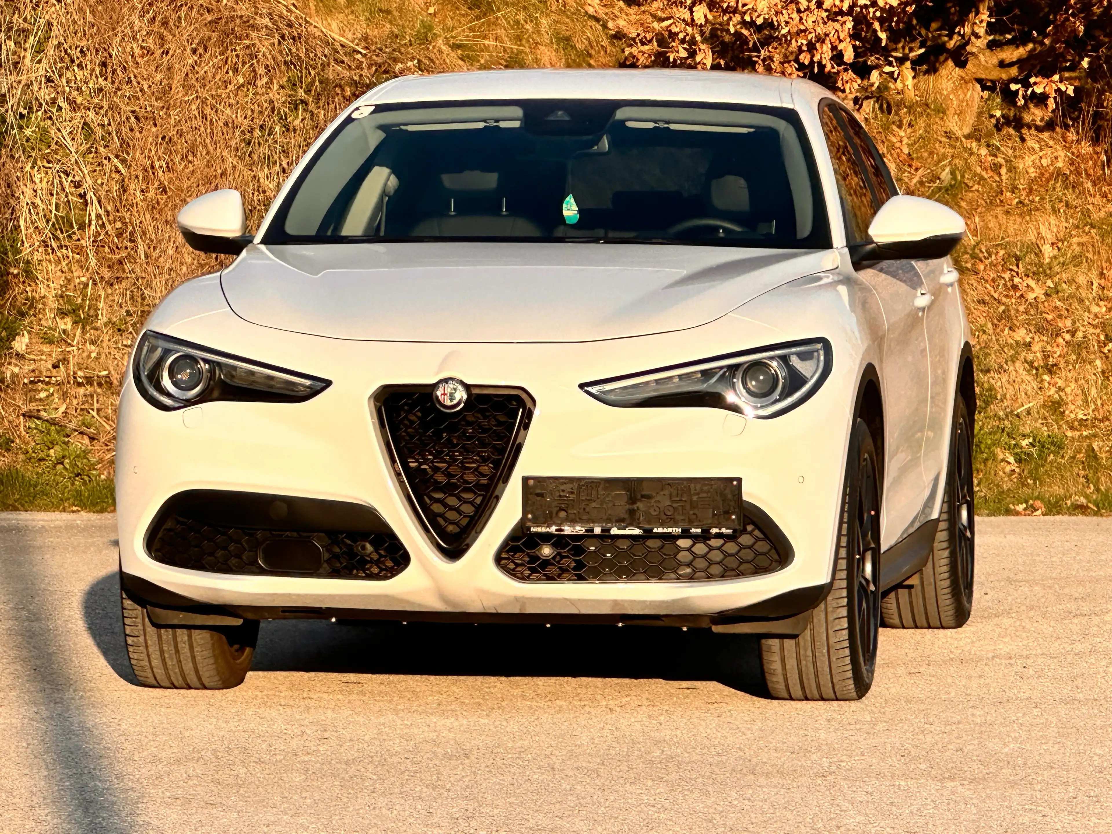 Alfa Romeo Stelvio 2.2 JTDM Super Q4 / AHK 2.3t / Diesel / Leder — photo 6