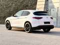 Alfa Romeo Stelvio 2.2 JTDM Super Q4 / AHK 2.3t / Diesel / Leder Weiß - thumbnail 14