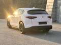 Alfa Romeo Stelvio 2.2 JTDM Super Q4 / AHK 2.3t / Diesel / Leder Weiß - thumbnail 13