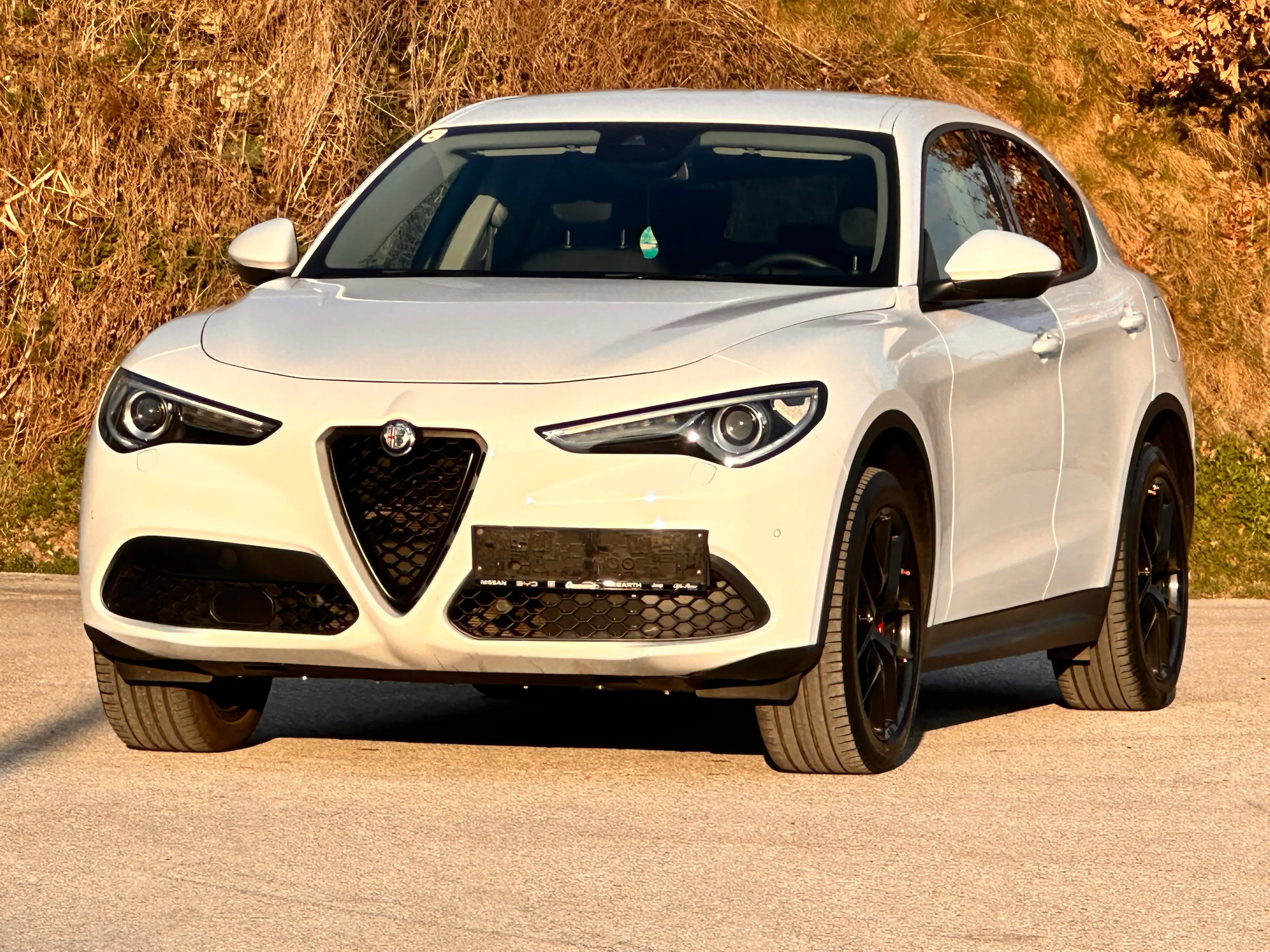 Alfa Romeo Stelvio 2.2 JTDM Super Q4 / AHK 2.3t / Diesel / Leder — photo 5