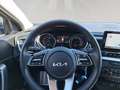 Kia Ceed SW / cee'd SW ceed SW 1,0 T-GDI GPF ISG Silber Schwarz - thumbnail 15