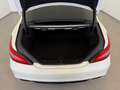 Mercedes-Benz CLS 350 d 4MATIC Aut. AMG-Line VOLL-LED / LEDER / KAMERA Weiß - thumbnail 21
