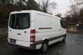 Mercedes-Benz Sprinter 316 CDI Autom, 1.Hd, LIFT, Xenon, Tüv NEU Weiß - thumbnail 9