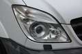 Mercedes-Benz Sprinter 316 CDI Autom, 1.Hd, LIFT, Xenon, Tüv NEU Weiß - thumbnail 12
