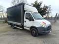Iveco Daily Cassonato con sponda idraulica Blanc - thumbnail 2