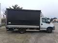 Iveco Daily Cassonato con sponda idraulica Blanc - thumbnail 9