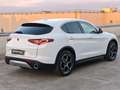 Alfa Romeo Stelvio Stelvio 2.2 Turbodiesel 210 CV AT8 Q4 Ti Weiß - thumbnail 3