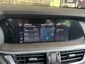 Alfa Romeo Stelvio 2.2 JTDM TI Q4 mit Glasdach Rot - thumbnail 37