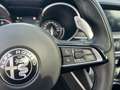 Alfa Romeo Stelvio 2.2 JTDM TI Q4 mit Glasdach Rot - thumbnail 33