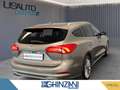 Ford Focus Focus 1.5 EcoBoost 150 CV automatico SW Vignale C Gris - thumbnail 4