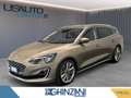 Ford Focus Focus 1.5 EcoBoost 150 CV automatico SW Vignale C Gris - thumbnail 1