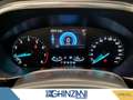 Ford Focus Focus 1.5 EcoBoost 150 CV automatico SW Vignale C Gris - thumbnail 6