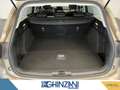 Ford Focus Focus 1.5 EcoBoost 150 CV automatico SW Vignale C Gris - thumbnail 8