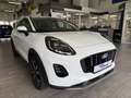Ford Puma Titanium Aut. Winterpaket + Fahrerassistenzpaket Blanc - thumbnail 9