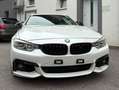 BMW 435 435d xDrive Coupe Aut. Weiß - thumbnail 3