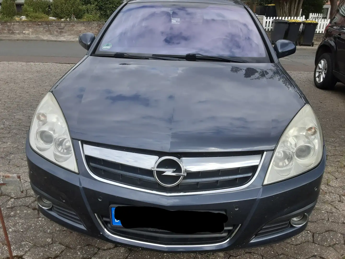 Opel Signum Signum 1.9 CDTICosmo Plus Синий - 1