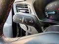 Ford Focus 1.0 Ecoboost MHEV ST-Line X 155 Gris - thumbnail 18