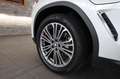 BMW X3 xDrive30e Luxury Line Gestiksteuerung DAB Weiß - thumbnail 32