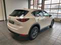 Mazda CX-5 2.5 SKYACTIV-G Navi|LED|Sitz & Lenkrhzg. Bianco - thumbnail 5