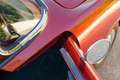 Fiat 1200 Turismo Veloce Spider "Trasformabile" Rouge - thumbnail 14
