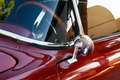 Fiat 1200 Turismo Veloce Spider "Trasformabile" Rouge - thumbnail 10