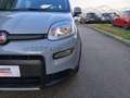 Fiat Panda Panda 1.0 firefly hybrid City Life s&s 70cv 5p.ti Grigio - thumbnail 15