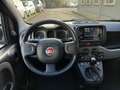 Fiat Panda Panda 1.0 firefly hybrid City Life s&s 70cv 5p.ti Grigio - thumbnail 6