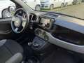 Fiat Panda Panda 1.0 firefly hybrid City Life s&s 70cv 5p.ti Grigio - thumbnail 5
