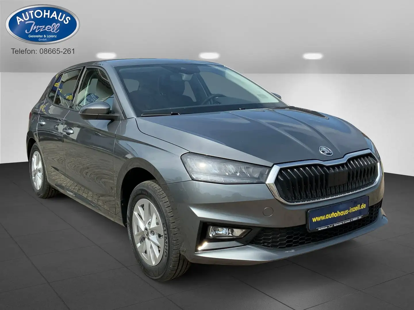 Skoda Fabia Selection, SHZ, RFK, APP, Tempomat Gris - 1