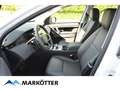 Land Rover Discovery Sport P200 S/Winter/Komfort/ACC/20 Zoll Weiß - thumbnail 27