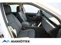 Land Rover Discovery Sport P200 S/Winter/Komfort/ACC/20 Zoll Weiß - thumbnail 28