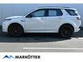 Land Rover Discovery Sport P200 S/Winter/Komfort/ACC/20 Zoll Weiß - thumbnail 2