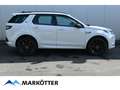 Land Rover Discovery Sport P200 S/Winter/Komfort/ACC/20 Zoll Weiß - thumbnail 3