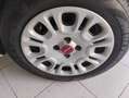 Fiat Panda Panda III 2021 1.0 firefly hybrid Sport s Bianco - thumbnail 12