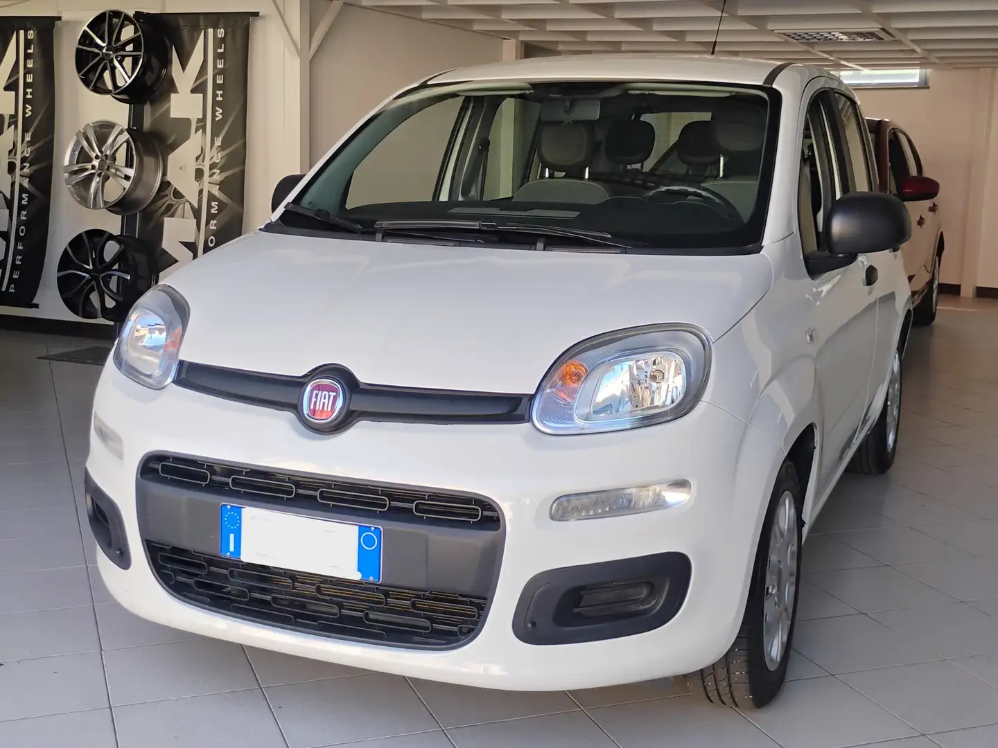 Fiat Panda Panda III 2021 1.0 firefly hybrid Sport s Bianco - 1