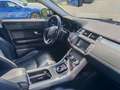Land Rover Range Rover Evoque Range Rover Evoque  2.0 td4 SE Dynamic 150cv auto Weiß - thumbnail 9