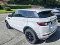 Land Rover Range Rover Evoque Range Rover Evoque  2.0 td4 SE Dynamic 150cv auto Weiß - thumbnail 6
