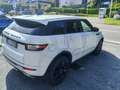 Land Rover Range Rover Evoque Range Rover Evoque  2.0 td4 SE Dynamic 150cv auto Weiß - thumbnail 4
